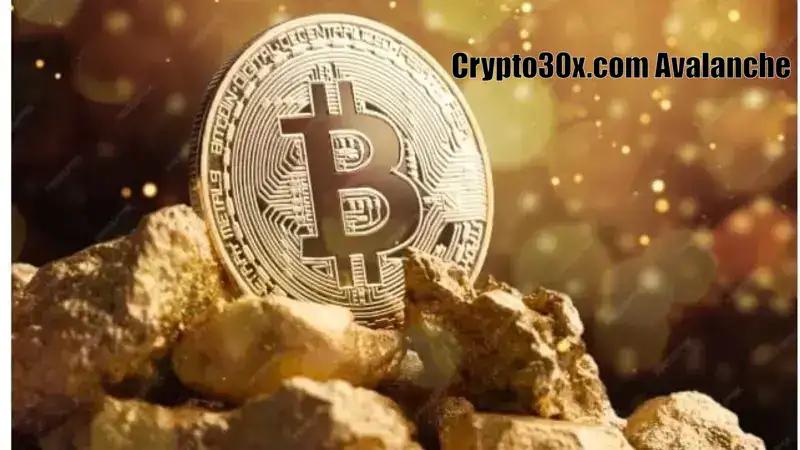 Crypto30x.com Avalanche